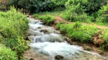 Dağlarda bir dere. 4K