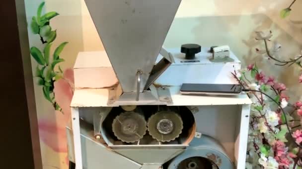 Vintage Professional Almond Crushing Machine Cutaway — Stock Video