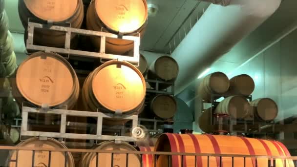 Kfar Tavor Tabor Israel Aprilie 2019 Vin Butoaie Fabrică Vin — Videoclip de stoc