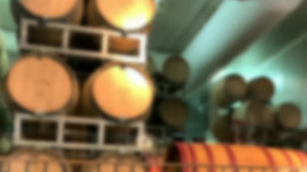Vinho Barris Fábrica Vinhos Vista Turva Através Vidro — Vídeo de Stock