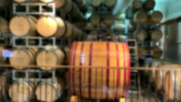 Vinho Barris Fábrica Vinhos Vista Turva Através Vidro — Vídeo de Stock