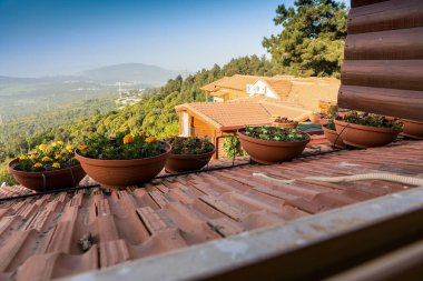 Kinneret Gölü veya Tiberias Denizi 'ni çevreleyen tepelerin tepelerindeki konuk evinden (pansiyondan veya zimmerden) Yukarı Celile Panoraması