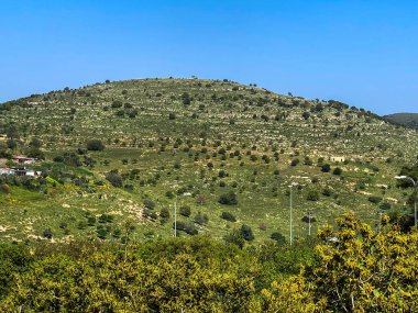 İlkbahar zamanı Aşağı Celile Panoraması. 4K