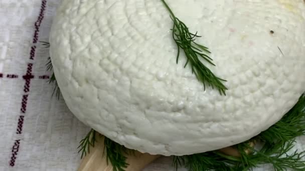 Soft White Homemade Cheese Adyghe Cheese Greens Lying Wooden Board — Stock Video