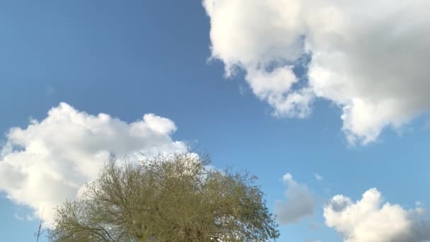 Hintergrund Des Strahlend Blauen Himmels Und Schwebenden Weißen Wolken Über — Stockvideo