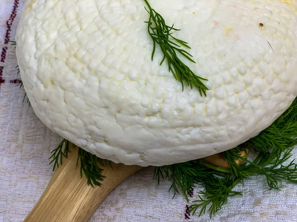 Soft White Homemade Cheese Adyghe Cheese Greens Lying Wooden Board — Stock Photo, Image