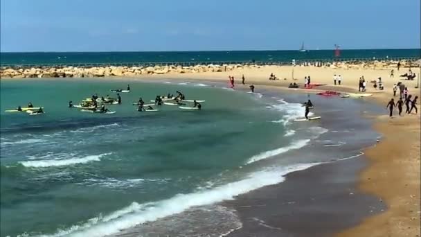 Een Groep Schoolkinderen Leert Basis Van Surfen — Stockvideo