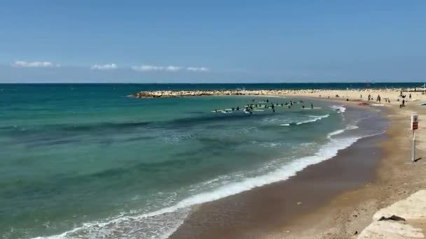 Tel Aviv Israel May 2021 Group Schoolchildren Learning Basics Surfing — Stock Video