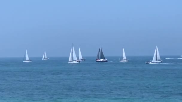 Dia Independência Israel Iate Desfile Mar Mediterrâneo — Vídeo de Stock