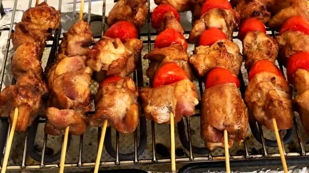 Kött Grillat Skewers Elgrillen Smaklig Grillad Mat Kalkonkött Med Tomater — Stockvideo