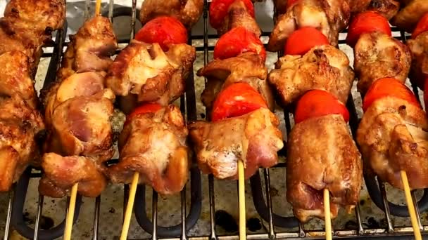 Maso Grilované Skewers Elektrickém Grilu Chutné Grilované Jídlo Krůtí Maso — Stock video