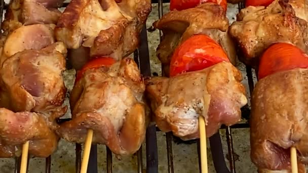 Viande Grillée Sur Brochettes Sur Gril Électrique Savoureux Grillades Dinde — Video