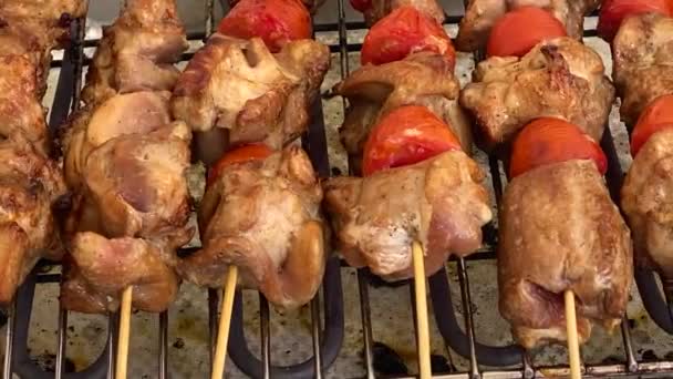 Vlees Gegrild Spiesen Elektrische Grill Lekker Gegrild Eten Turkije Vlees — Stockvideo