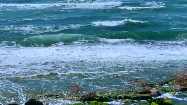 没有强烈的海风波冲击着海岸的岩石 慢动作Hd — 图库视频影像