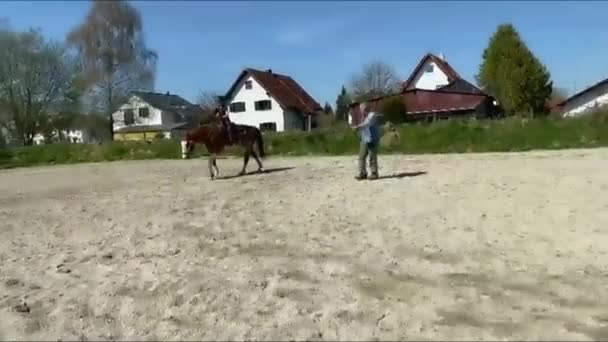 München Duitsland Mei 2021 Meisje Traint Paardensport Dressuur Een Zandgrond — Stockvideo