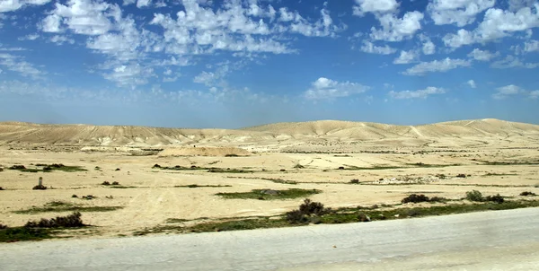 Desierto de Negev en la primavera sobre fondo azul del cielo — Foto de Stock