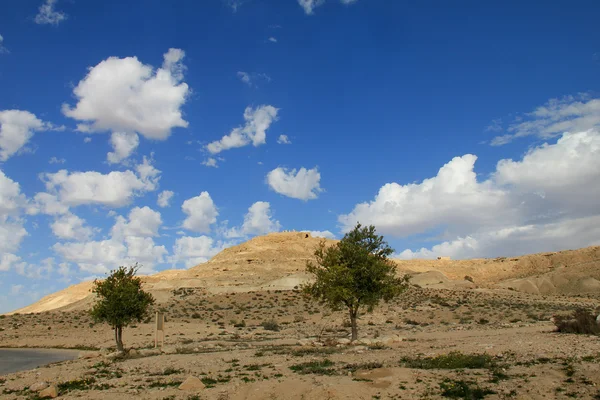 Negev Desert . Mountain  Avdat with antic  Nabatean city — Stock Photo, Image