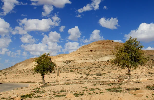 네 겝 사막입니다. 매우 Nabatean 도시와 산 있으며 — 스톡 사진