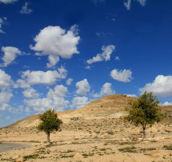 Negev Desert . Mountain  Avdat with antic  Nabatean city — Stock Photo, Image