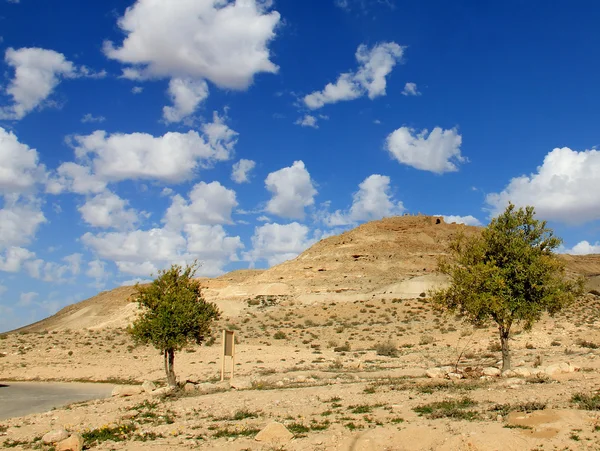 Wüste Negev. Berg avdat mit antiken nabatäischen Stadt — Stockfoto