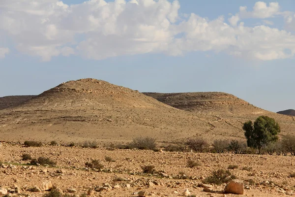 Desierto de Negev en la primavera sobre fondo azul del cielo — Foto de Stock