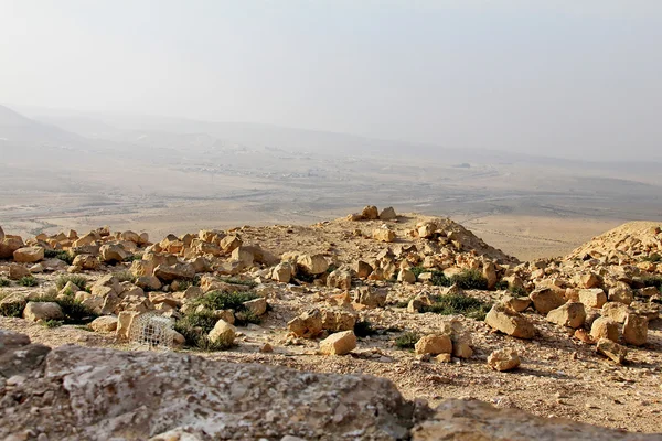 Negev Desert landscape view from the ancient city of Avdat, Israel. — Stock Photo, Image