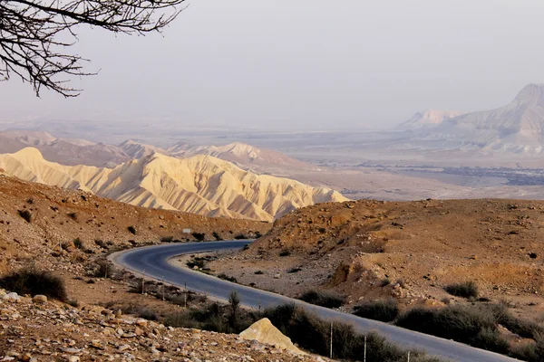 Canyon Ein-Avdat in Negev stony desert — Stock Photo, Image