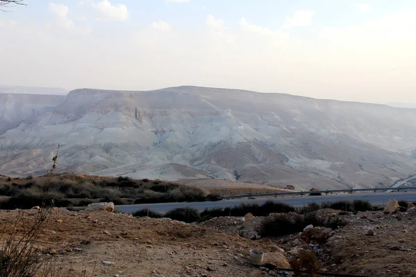 Canyon Ein-Avdat in Negev stony desert — Stock Photo, Image