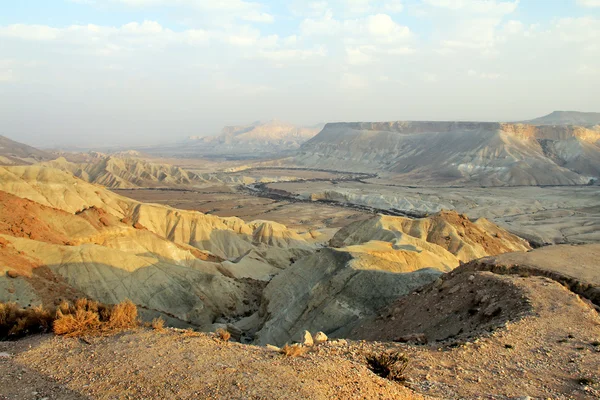 Canyon Ein-Avdat in Negev stony desert — Stock Photo, Image