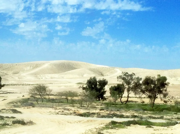 Пустеля Неґев на весну, на тлі синього неба — стокове фото