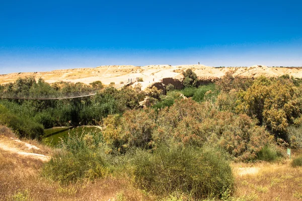 다리 고 Besor 브 룩 Eshkol 국립 공원, 네 겝 사막에. 이스라엘 — 스톡 사진