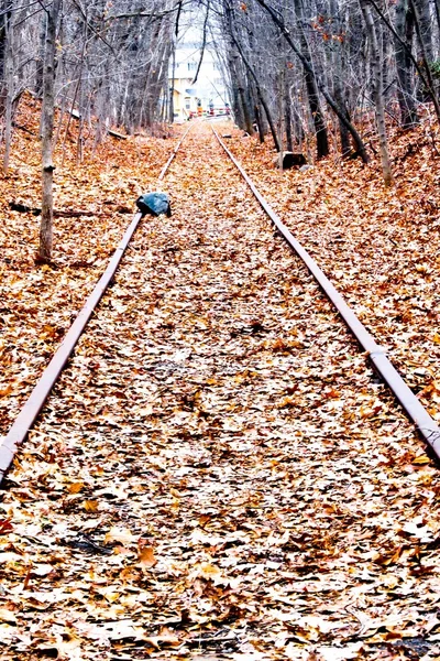 Järnvägen till ingenstans — Stockfoto