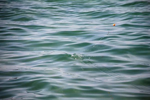 Superficie del mar y flotador pequeño rojo durante la pesca — Foto de Stock