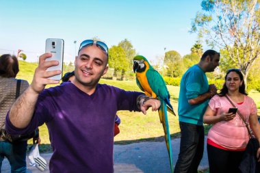 Papağanı macaws (Ara ararauna ile oynamak)