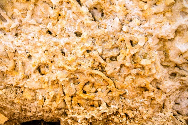 เนื้อเยื่อหินปูนอุ่น — ภาพถ่ายสต็อก