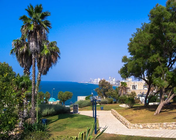 Costa do mar e a vista do Tel Aviv a partir de Old Jaffa à noite — Fotografia de Stock