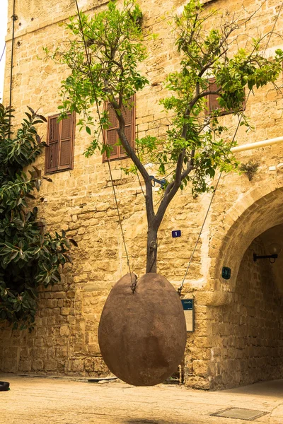 Oranžové strom v kamenné nádoby, vznášející se na dvoře u starého města Jaffa. Izrael — Stock fotografie