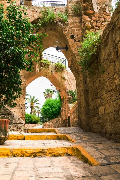 Alte Steinstadt jaffa in tel aviv — Stockfoto