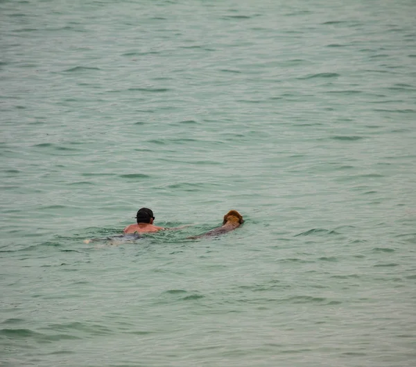 Σκύλος και ιδιοκτήτης να κάνει κολύμπι στη θάλασσα νωρίς το πρωί — Φωτογραφία Αρχείου