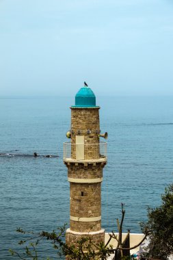 Mavi gökyüzü ve Akdeniz arka plan eski Jaffa içinde caminin minaresi