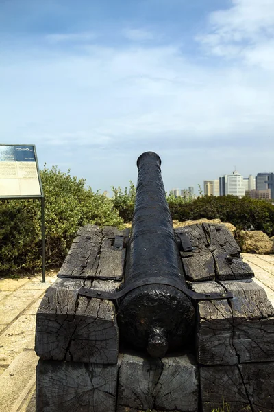 Le canon de Napoléon dans le vieux Jaffa. Israël . — Photo