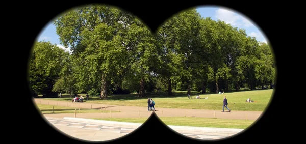 쌍안경으로 공원에서 용의자의 은밀한 감시 — 스톡 사진