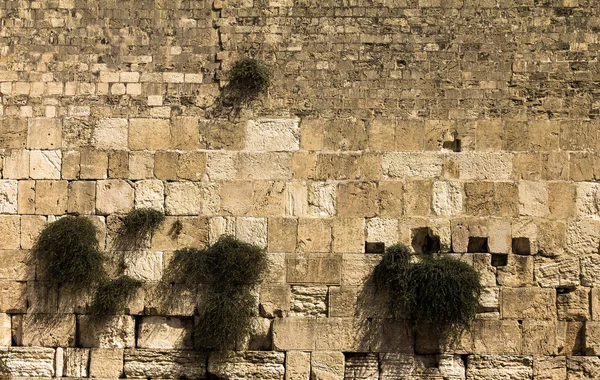 Västra muren i jerusalem — Stockfoto