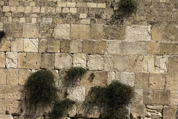 Muro ocidental em Jerusalém — Fotografia de Stock