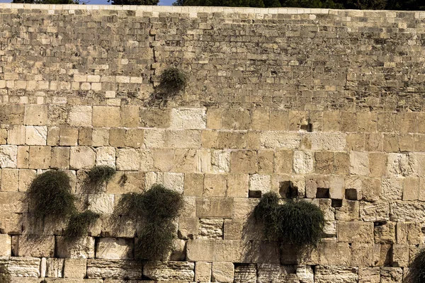 Västra muren i jerusalem — Stockfoto