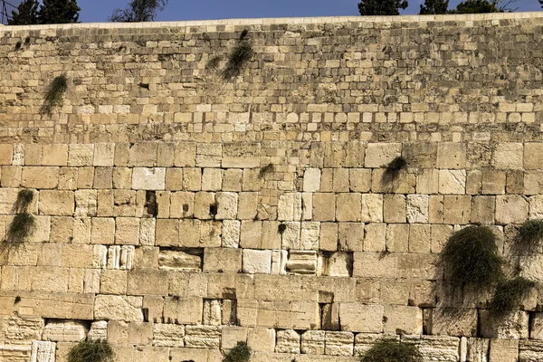 Western Wall in Jerusalem — Stock Photo, Image