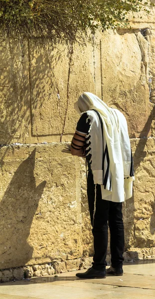 Niezidentyfikowane czcicielem żydowskiej w tallith i tefillin, modląc się w ścianę płaczu ważnym miejscem Żydowskich religijnych — Zdjęcie stockowe