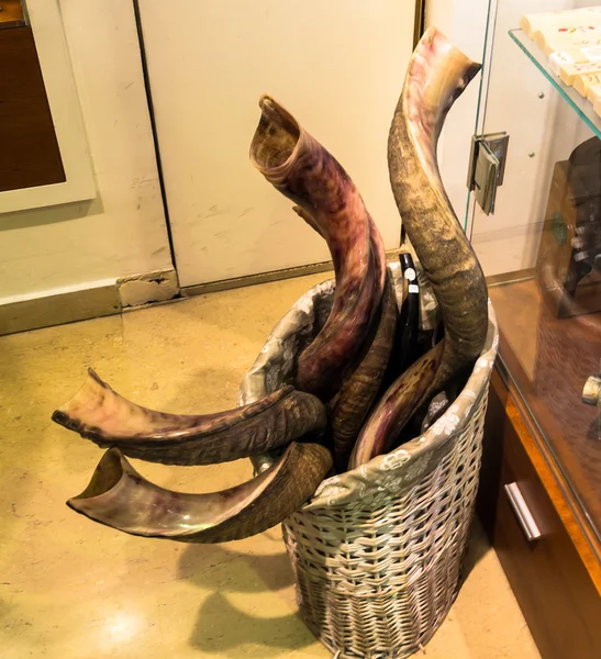 Shofars en tienda de recuerdos en la calle Mamilla de Jerusalén, Israel —  Fotos de Stock