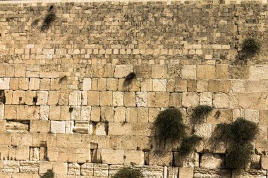 Kudüs'te Western wall