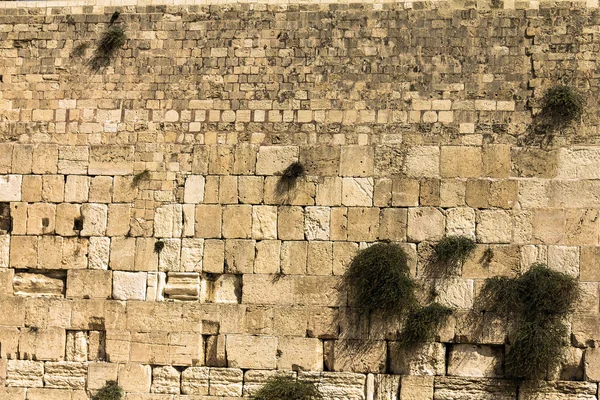 Western Wall in Jerusalem — Stock Photo, Image